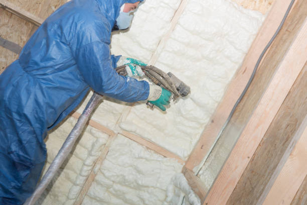 Eco-Friendly or Green Insulation Solutions in Country Club Estates, GA